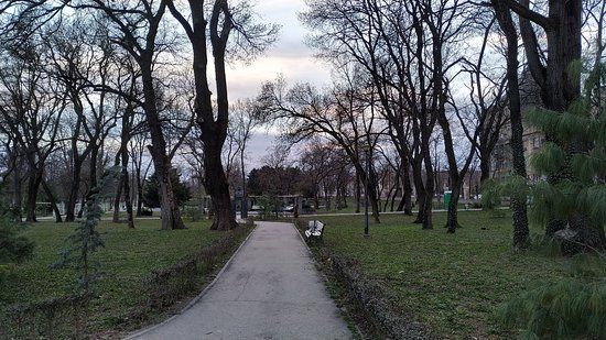 Catedrala Mitropolitană din Timișoara